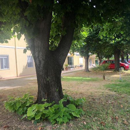 Hotel Argo Rimini Zewnętrze zdjęcie