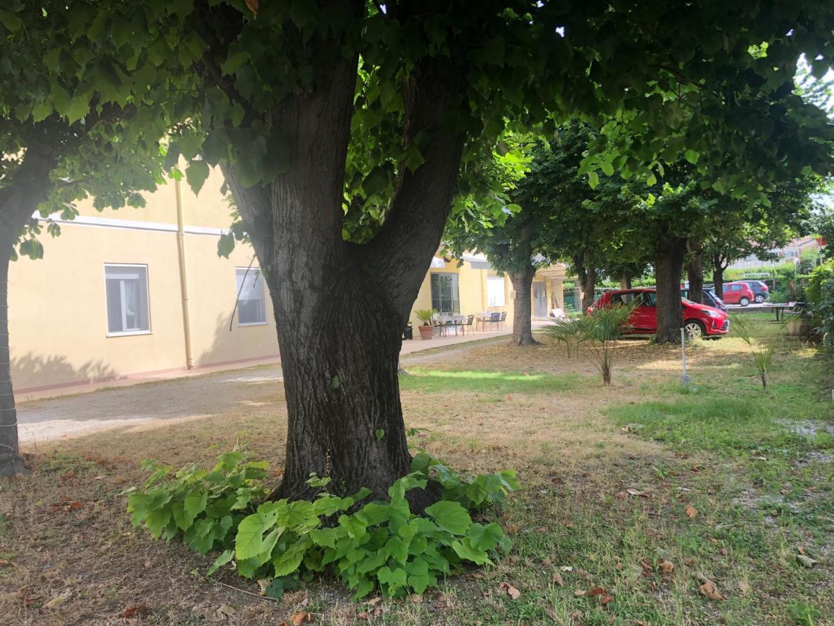 Hotel Argo Rimini Zewnętrze zdjęcie