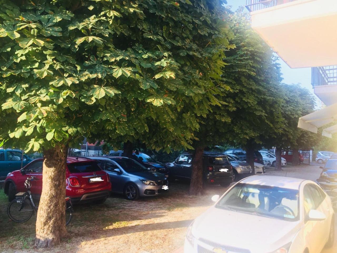 Hotel Argo Rimini Zewnętrze zdjęcie