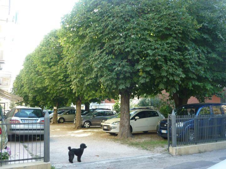 Hotel Argo Rimini Zewnętrze zdjęcie